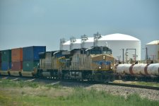 DSC_6282.jpg