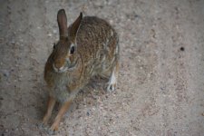 DSC_6317.jpg