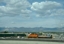 DSC_6779.jpg