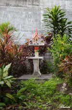 morning-walk-banbung-3.jpg
