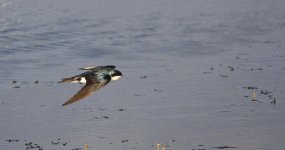 _DSC5657G.jpg