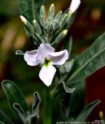 FSC_1582.jpg