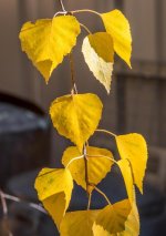 untitled-1-113.jpg