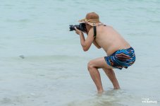 photographer-in-the-water-2.jpg