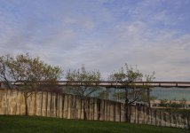 Three trees.jpg