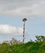 DSC_0574.jpg