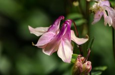 DSC_2581.jpg