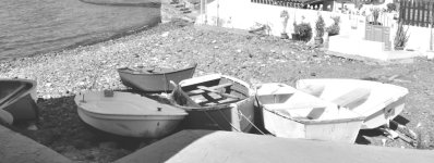 row boats.JPG