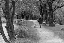 DSC_2534-Edit.jpg