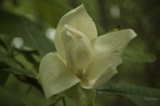 _AAA5066 - Version 2.jpg
