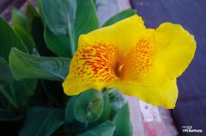 sunday-morning-walk-6.jpg