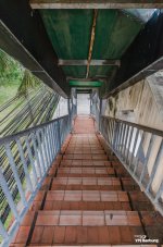 sunday-morning-walk-10.jpg