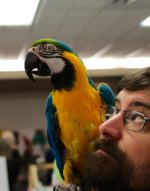_DSC0305-EDM Parrot Show__-0252-EDM Parrot Show___-0017.jpg