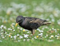 DSC_0674.jpg