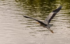 DSC_2646-Edit-Edit.jpg