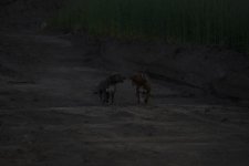 _5058438-1.jpg