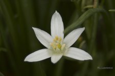 _AAA5072 - Version 2.jpg