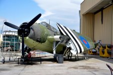 DSC_7283.jpg