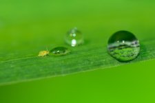 _DSC1193_edited.jpg