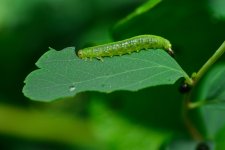 _DSC1102_edited.jpg