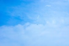 _DSC0824.jpg