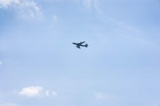 _DSC0836.jpg