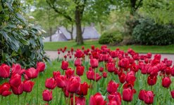 DSC_2672.jpg