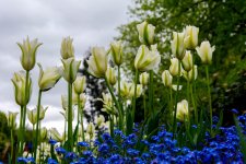 DSC_2665.jpg
