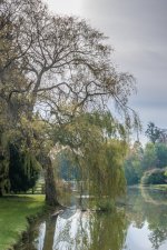 DSC_5450.jpg