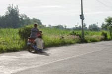 morning-walk-tue-4.jpg