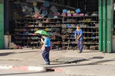 morning-walk-tue-9.jpg