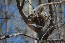 _DSC1960-Siggy100300-0031.jpg