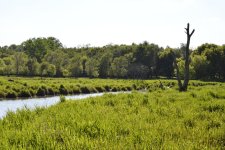 _DSC5865.jpg _DSC5865.jpg