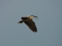DSCN9035.jpg