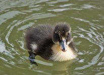 DSC_1773.jpg