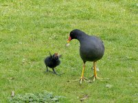 DSC_1800.jpg
