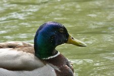DSC_1890.jpg
