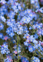 DSC_1864.jpg