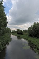 _DSC8817.jpg