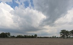 _DSC8828.jpg