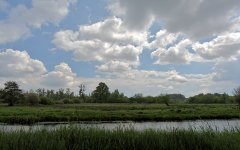 _DSC8814.jpg