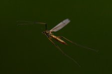 _DSC8643.jpg
