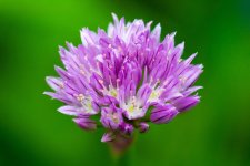 untitled-20-3.jpg