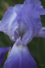 _AAA5144 - Version 2.jpg