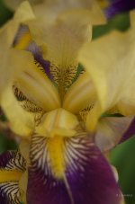 _AAA5147 - Version 2.jpg