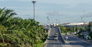 THU-Morning-Walk-6.jpg