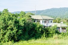 THU-Morning-Walk-9.jpg