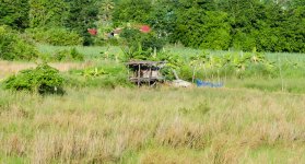 THU-Morning-Walk-10.jpg