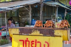 THU-Morning-Walk-13.jpg