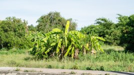 landscape-1.jpg